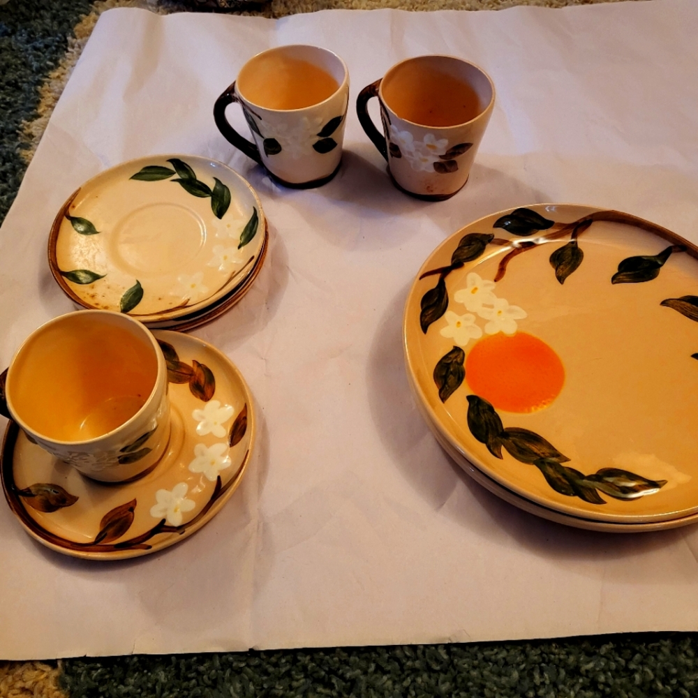10 piece Vintage Orchard Ware Set